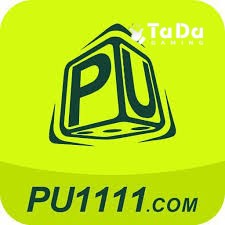 pu1111 Gaming Experience